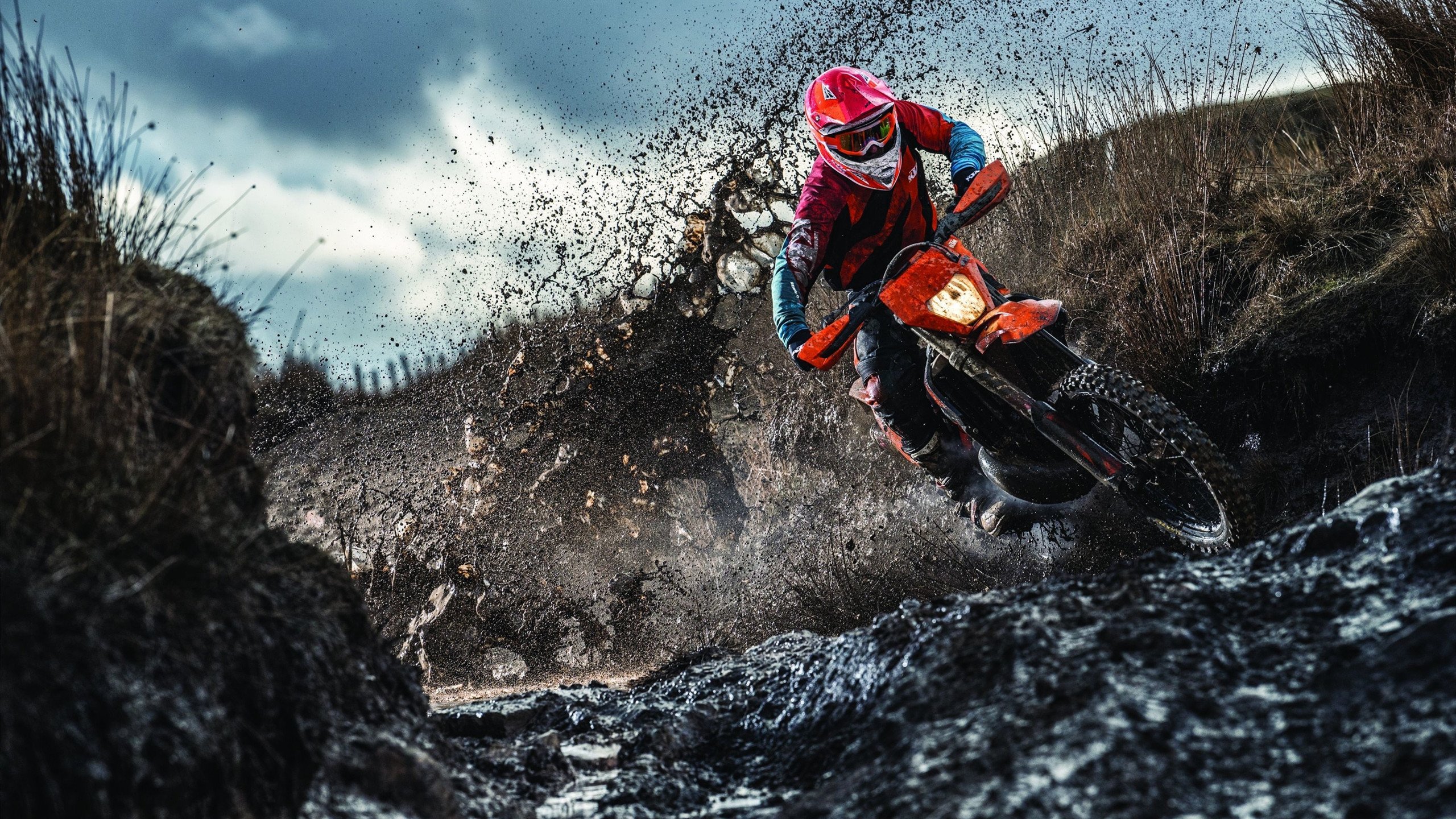 亚冠联赛中国青年队晋级 球迷纷纷点赞,亚冠 青年军